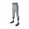 Evoshield Salute Men’s Knicker Baseball Pants – Grey -Baseball Bat Sales products wb6000502 1